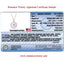 RVLA Romance Victory 18k Gold Diamond Mother of Pearl Necklace 